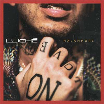 アルバム/Malammore/Luche