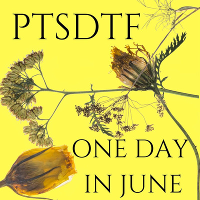 アルバム/One Day In June/PTSDTF