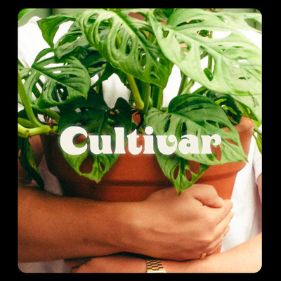 Cultivar/Zeeba