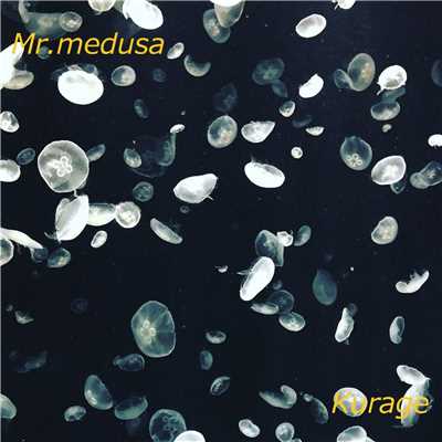 Kurage/Mr.medusa