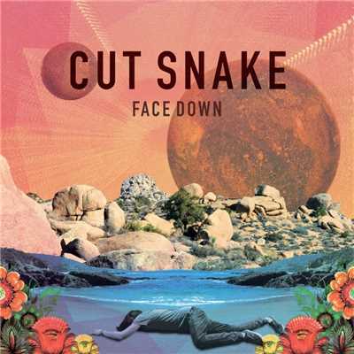 シングル/Face Down/Cut Snake