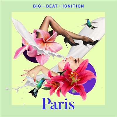 Big Beat Ignition: Paris/Various Artists