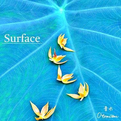 シングル/Surface/Otomizu