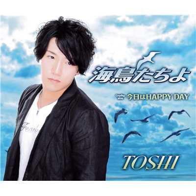 海鳥たちよ(オリジナルカラオケ)/TOSHI