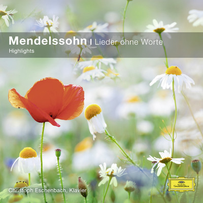 シングル/Mendelssohn: 無言歌 第3巻 作品38 - 第5番 イ短調〈情熱〉/クリストフ・エッシェンバッハ