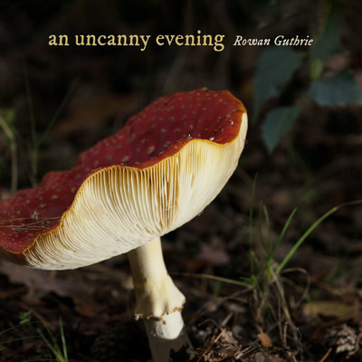 シングル/an uncanny evening/Rowan Guthrie