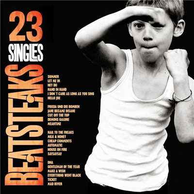 アルバム/23 Singles/Beatsteaks