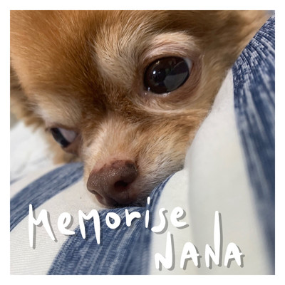 memories -NANA- (Instrumental)/隼広