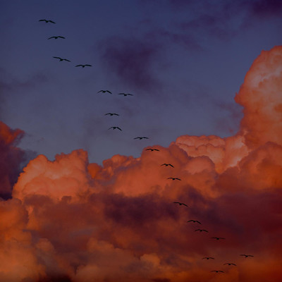 Fly Away/Santina Cato