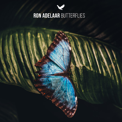Butterflies/Ron Adelaar