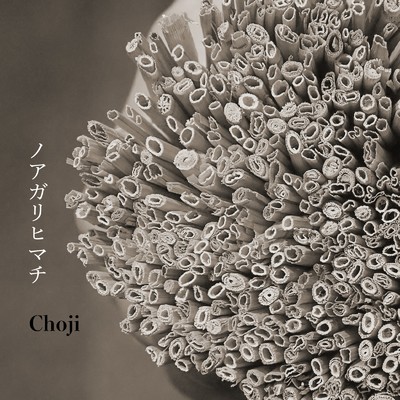 Yo's Song (bird song)/Choji