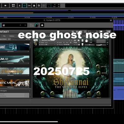 シングル/20250725/echo ghost noise
