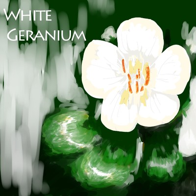 シングル/White Geranium/yusuke karino