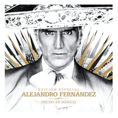 アルバム/Hecho En Mexico (Edicion Especial)/Alejandro Fernandez
