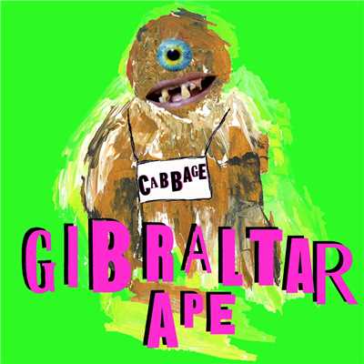 Gibraltar Ape/Cabbage