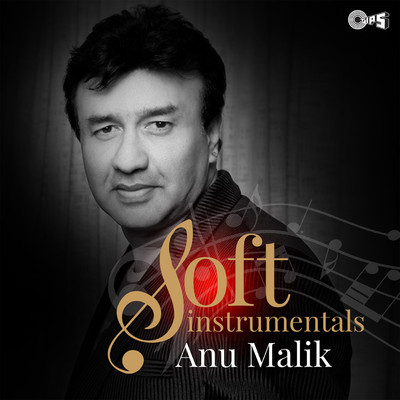 アルバム/Soft Instrumentals: Anu Malik/Tabun Sutradhar