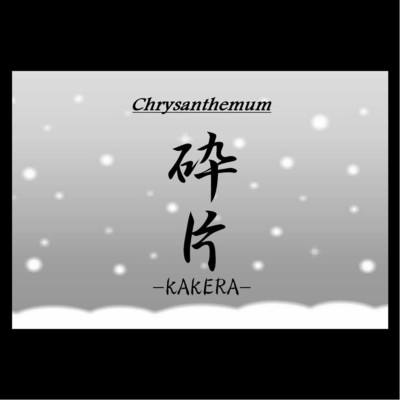 シングル/砕片/Chrysanthemum