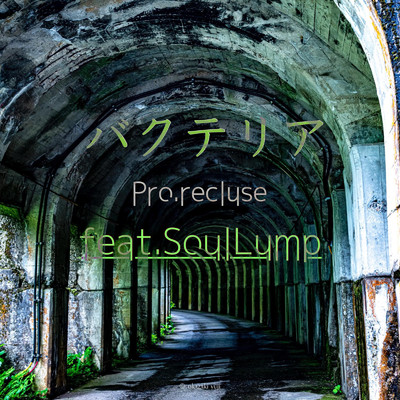 バクテリア (feat. SoulLump)/recluse