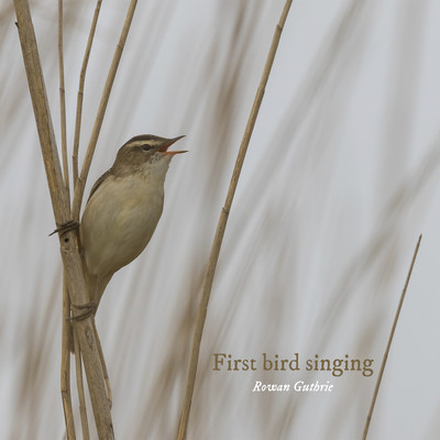 First bird singing/Rowan Guthrie