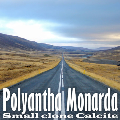 Polyantha Monarda/Small clone Calcite
