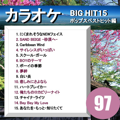 アルバム/カラオケ BIG HIT 15 ポップスベストヒット編97/CTA カラオケ