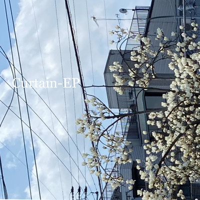 僕と桜と単純な話/Daiki Matsumoto