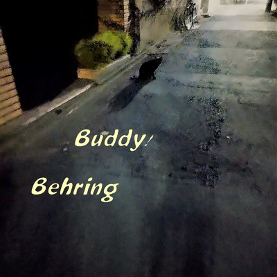 シングル/Buddy！/Behring