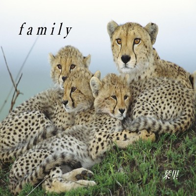 family/栞里