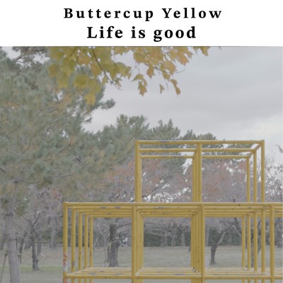 シングル/Life is good/Buttercup Yellow