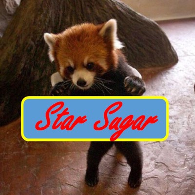 シングル/motive (feat. Cedric Lanarre) [Star Sugar Remix]/Star Sugar