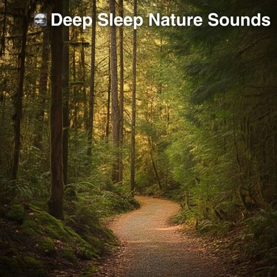 アルバム/Deep Sleep Nature Sounds/Nature sounds for deep sleep