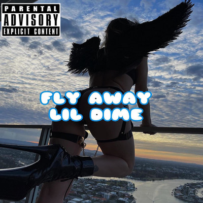 シングル/Fly Away/Lil Dime