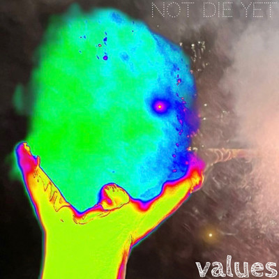 NOT DIE YET/Values