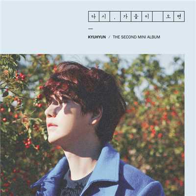 アルバム/Fall, Once again - The 2nd Mini Album/KYUHYUN