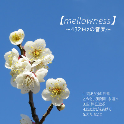 アルバム/mellowness/Various Artists