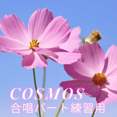 COSMOS 合唱パート練習用/放課後合唱団