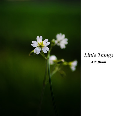シングル/Little Things/Ash Brant