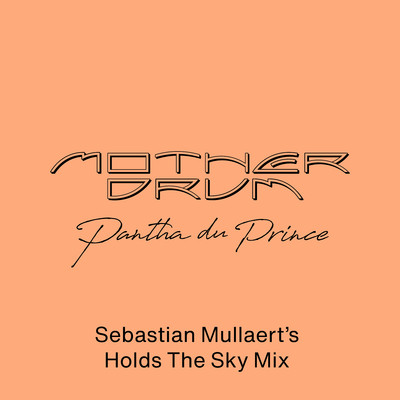 Mother Drum (Sebastian Mullaert's Holds The Sky Mix)/Pantha du Prince