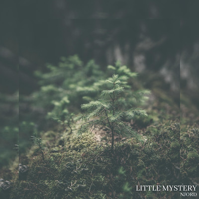 Little Mystery/Njord