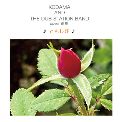シングル/ゲゲゲの鬼太郎 (DUB)/KODAMA AND THE DUB STATION BAND