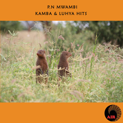 アルバム/Kamba & Luhya Hits/P.N Mwambi