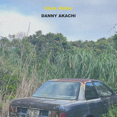 Blue Skies/danny akachi