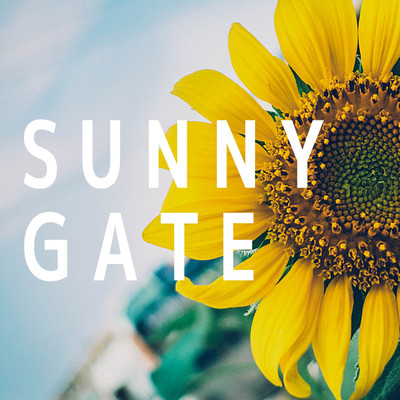 アルバム/SUNNY GATE/LUNCH CAFE JAZZ