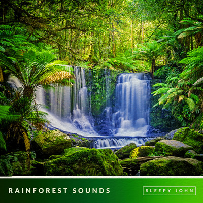 アルバム/Rainforest - Sleep & Nature Sounds/Sleepy John