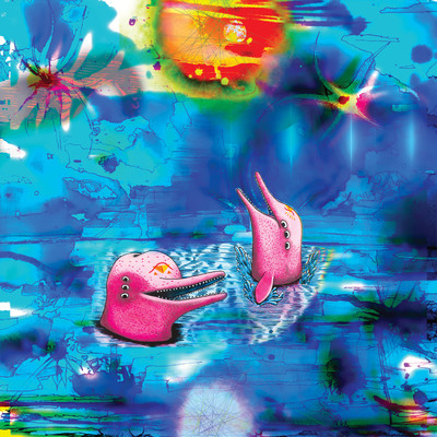Pink Dolphins/Anteloper