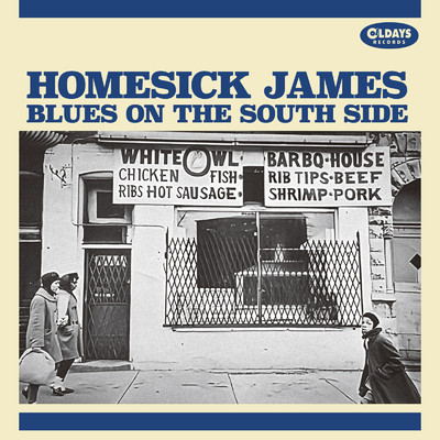 CAN'T AFFORD TO DO IT/HOMESICK JAMES