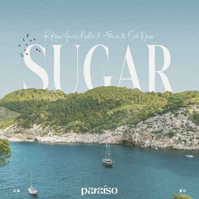 Sugar (feat. Eirik Naess)/Rolipso