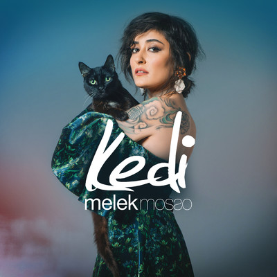 シングル/Kedi/Melek Mosso