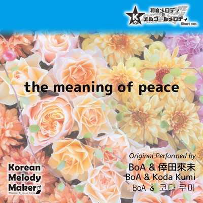the meaning of peace〜40和音メロディ (Short Version) [オリジナル歌手:BoA] [オリジナル歌手:倖田來未]/Korean Melody Maker