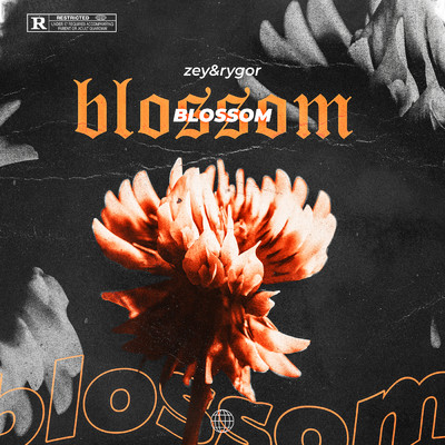BLOSSOM (Explicit)/zey／Rygor